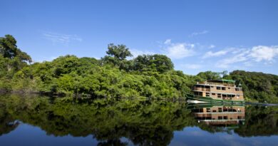 Turismo de conservação cresce e conecta                                                    turistas a comunidades e ecossistemas