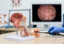 Próstata aumentada pode alterar a bexiga; cistoscopia ajuda a identificar problemas